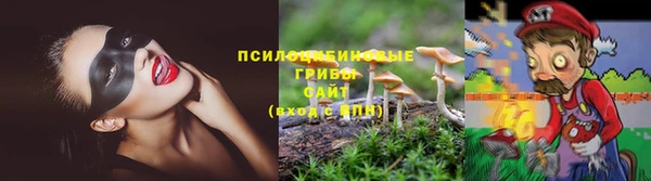 не бодяженный Нязепетровск
