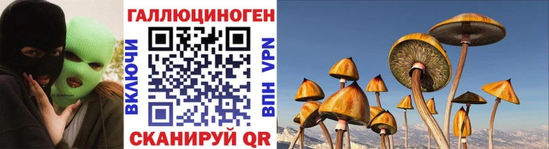 Галлюциногенные грибы ЛСД Усть-Катав